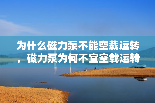 为什么磁力泵不能空载运转，磁力泵为何不宜空载运转，原因解析