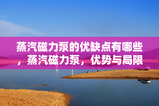 蒸汽磁力泵的优缺点有哪些，蒸汽磁力泵，优势与局限一览