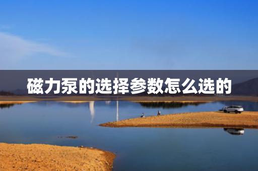 磁力泵的选择参数怎么选的