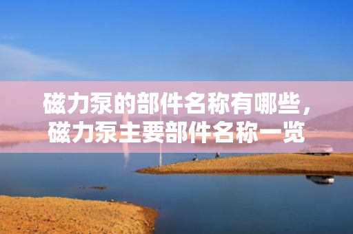 磁力泵的部件名称有哪些，磁力泵主要部件名称一览