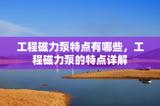 工程磁力泵特点有哪些，工程磁力泵的特点详解