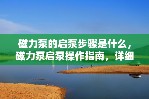 磁力泵的启泵步骤是什么，磁力泵启泵操作指南，详细步骤解析