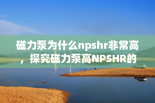 磁力泵为什么npshr非常高，探究磁力泵高NPSHR的原因