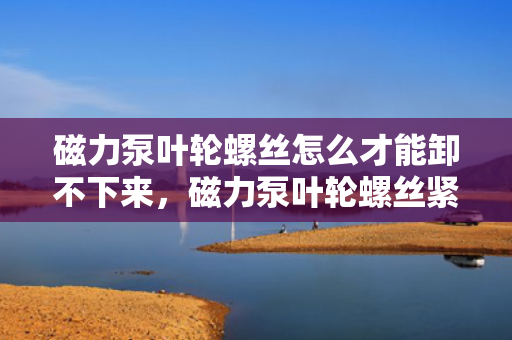 磁力泵叶轮螺丝怎么才能卸不下来，磁力泵叶轮螺丝紧固无法卸下解决方案