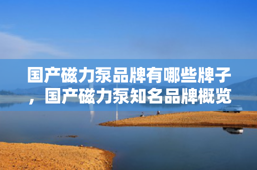 国产磁力泵品牌有哪些牌子，国产磁力泵知名品牌概览