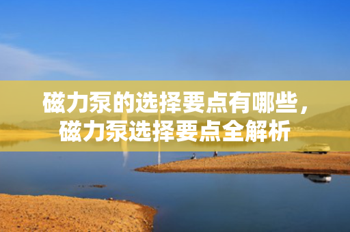 磁力泵的选择要点有哪些，磁力泵选择要点全解析
