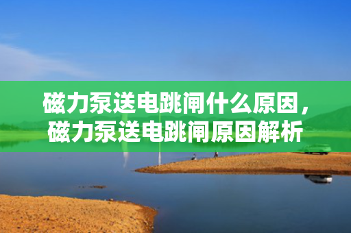 磁力泵送电跳闸什么原因，磁力泵送电跳闸原因解析