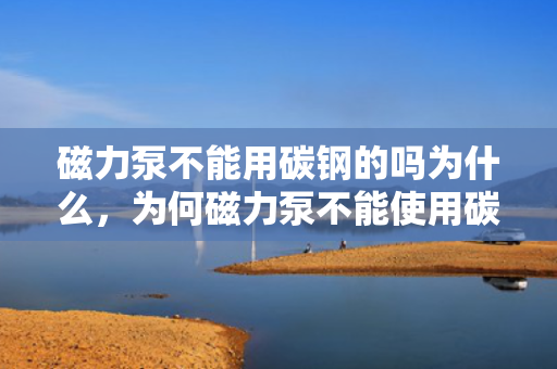 磁力泵不能用碳钢的吗为什么，为何磁力泵不能使用碳钢材料？