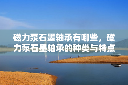 磁力泵石墨轴承有哪些，磁力泵石墨轴承的种类与特点解析