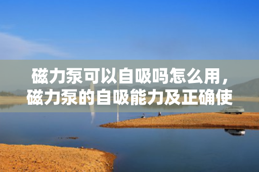 磁力泵可以自吸吗怎么用，磁力泵的自吸能力及正确使用方法解析