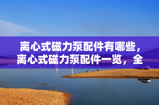 离心式磁力泵配件有哪些，离心式磁力泵配件一览，全面了解所需部件