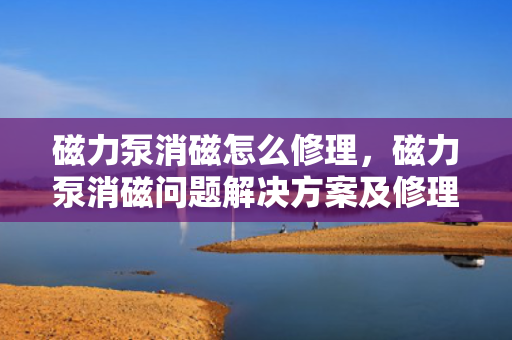 磁力泵消磁怎么修理，磁力泵消磁问题解决方案及修理指南