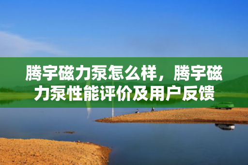 腾宇磁力泵怎么样，腾宇磁力泵性能评价及用户反馈
