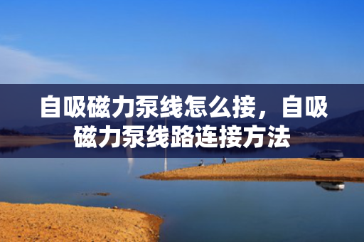 自吸磁力泵线怎么接，自吸磁力泵线路连接方法