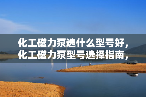 化工磁力泵选什么型号好，化工磁力泵型号选择指南，如何挑选最适合的型号