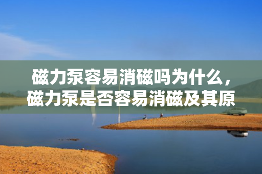 磁力泵容易消磁吗为什么，磁力泵是否容易消磁及其原因解析