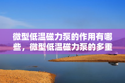 微型低温磁力泵的作用有哪些，微型低温磁力泵的多重功效解析