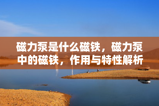 磁力泵是什么磁铁，磁力泵中的磁铁，作用与特性解析