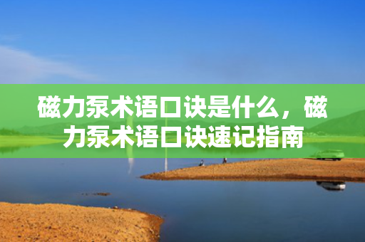 磁力泵术语口诀是什么，磁力泵术语口诀速记指南