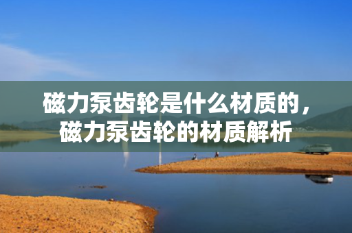 磁力泵齿轮是什么材质的，磁力泵齿轮的材质解析