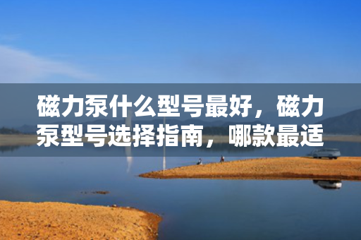 磁力泵什么型号最好，磁力泵型号选择指南，哪款最适合您的需求？