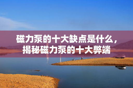 磁力泵的十大缺点是什么，揭秘磁力泵的十大弊端