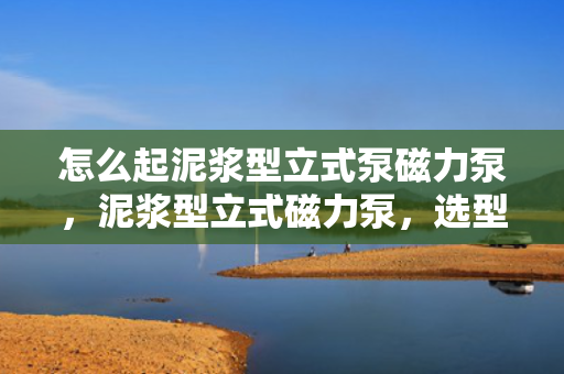 怎么起泥浆型立式泵磁力泵，泥浆型立式磁力泵，选型、使用与维护全攻略