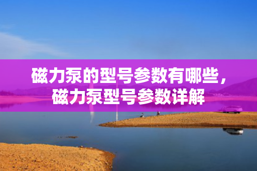 磁力泵的型号参数有哪些，磁力泵型号参数详解