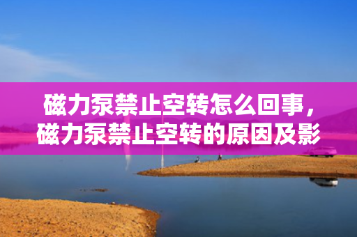 磁力泵禁止空转怎么回事，磁力泵禁止空转的原因及影响解析
