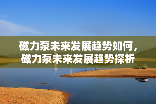 磁力泵未来发展趋势如何，磁力泵未来发展趋势探析