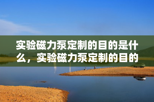 实验磁力泵定制的目的是什么，实验磁力泵定制的目的及意义
