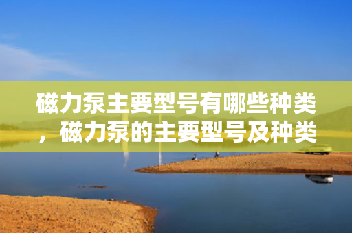 磁力泵主要型号有哪些种类，磁力泵的主要型号及种类概览