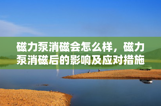 磁力泵消磁会怎么样，磁力泵消磁后的影响及应对措施