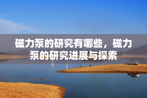 磁力泵的研究有哪些，磁力泵的研究进展与探索