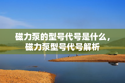 磁力泵的型号代号是什么，磁力泵型号代号解析