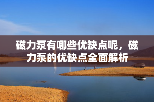 磁力泵有哪些优缺点呢，磁力泵的优缺点全面解析
