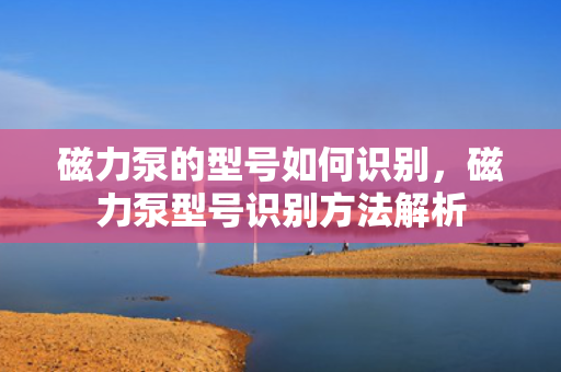 磁力泵的型号如何识别，磁力泵型号识别方法解析