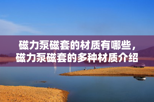 磁力泵磁套的材质有哪些，磁力泵磁套的多种材质介绍