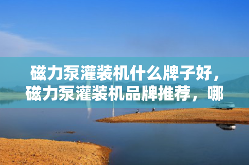 磁力泵灌装机什么牌子好，磁力泵灌装机品牌推荐，哪个牌子更胜一筹？