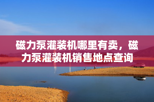 磁力泵灌装机哪里有卖，磁力泵灌装机销售地点查询
