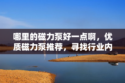 哪里的磁力泵好一点啊，优质磁力泵推荐，寻找行业内的佼佼者