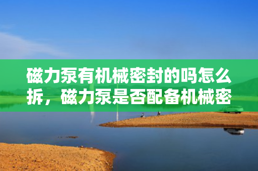 磁力泵有机械密封的吗怎么拆，磁力泵是否配备机械密封及拆卸方法解析