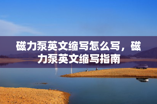 磁力泵英文缩写怎么写，磁力泵英文缩写指南