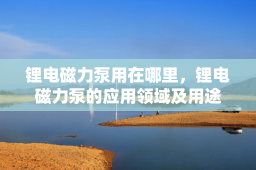 锂电磁力泵用在哪里，锂电磁力泵的应用领域及用途