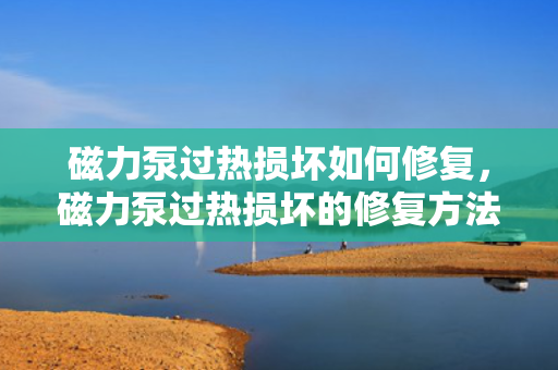 磁力泵过热损坏如何修复，磁力泵过热损坏的修复方法与步骤