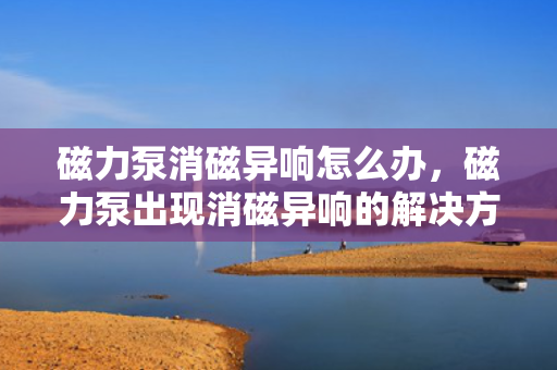 磁力泵消磁异响怎么办，磁力泵出现消磁异响的解决方法