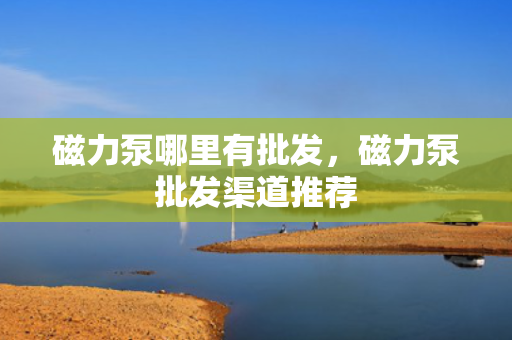 磁力泵哪里有批发，磁力泵批发渠道推荐