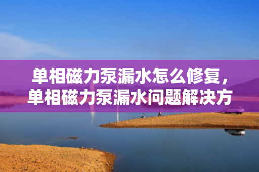 单相磁力泵漏水怎么修复，单相磁力泵漏水问题解决方案
