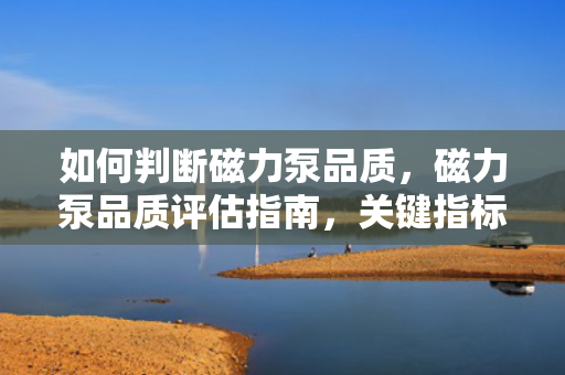 如何判断磁力泵品质，磁力泵品质评估指南，关键指标与选购建议