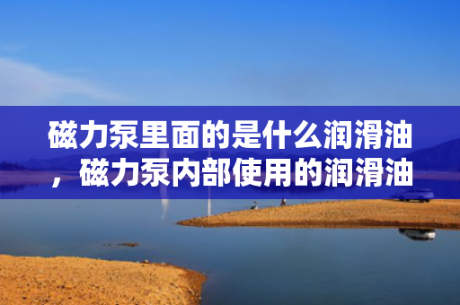 磁力泵里面的是什么润滑油，磁力泵内部使用的润滑油是何种类型？